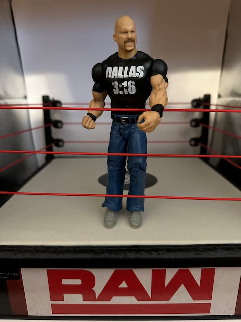 WWE Stone Cold Steve Austin (Dallas 3:16) 6" Figure (Loose/As Is)
