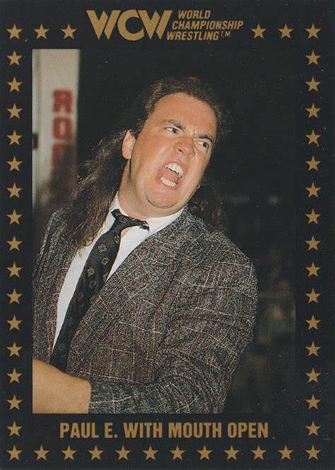 1991 1st Series WCW Trading Cards Pack (15 Cards Per Pack)