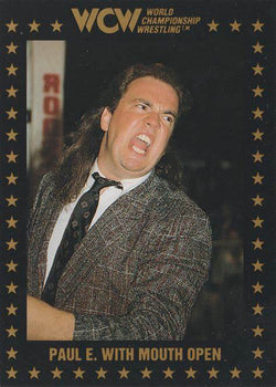 Image of 1991 1st Series WCW Trading Cards Pack (15 Cards Per Pack)